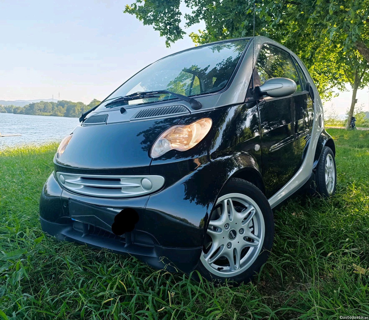 Smart ForTwo 450 CDI PASSION 2004 — photo 2