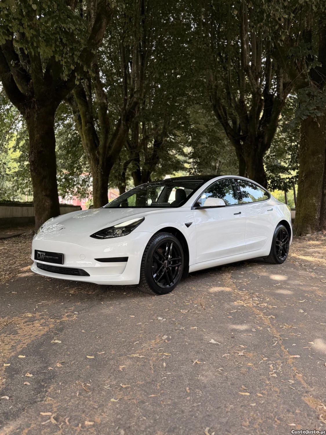 Tesla Model 3 Standard Range Plus — fotografia 11