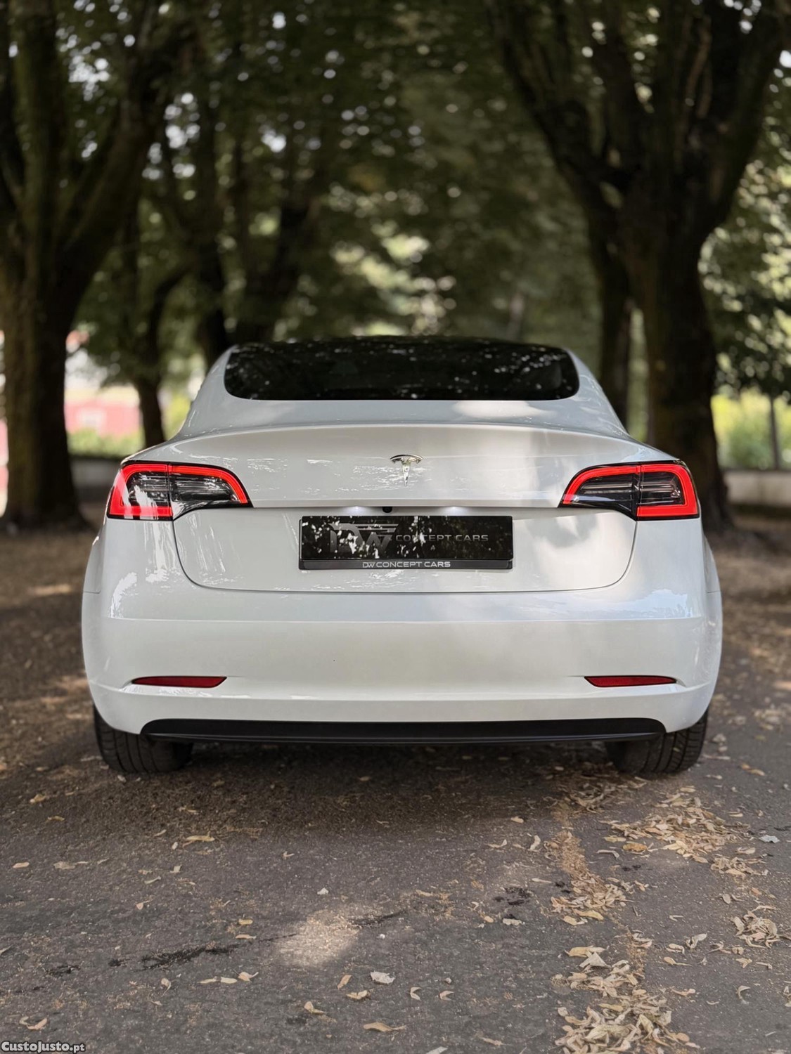 Tesla Model 3 Standard Range Plus — fotografia 8