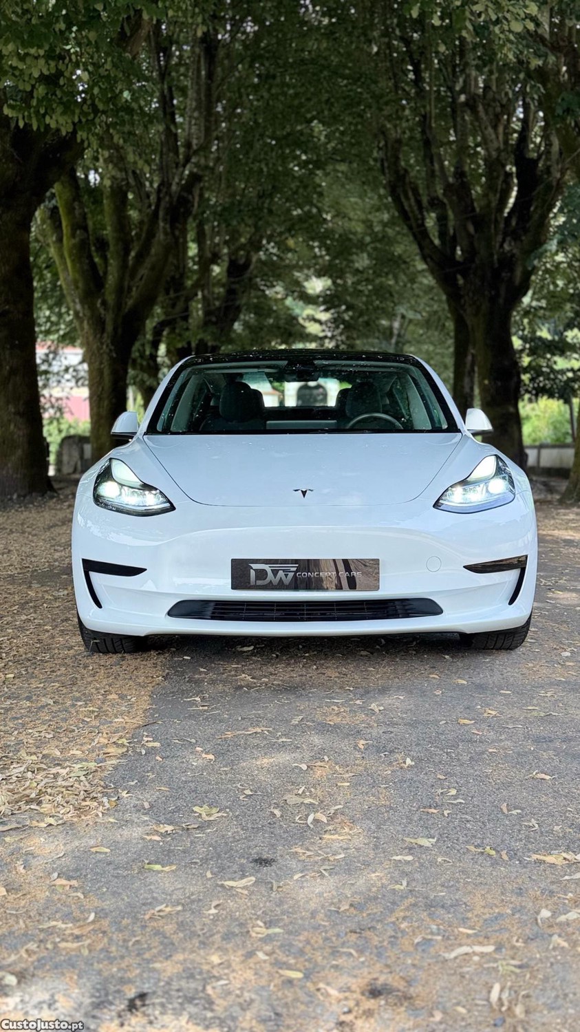 Tesla Model 3 Standard Range Plus — fotografia 10