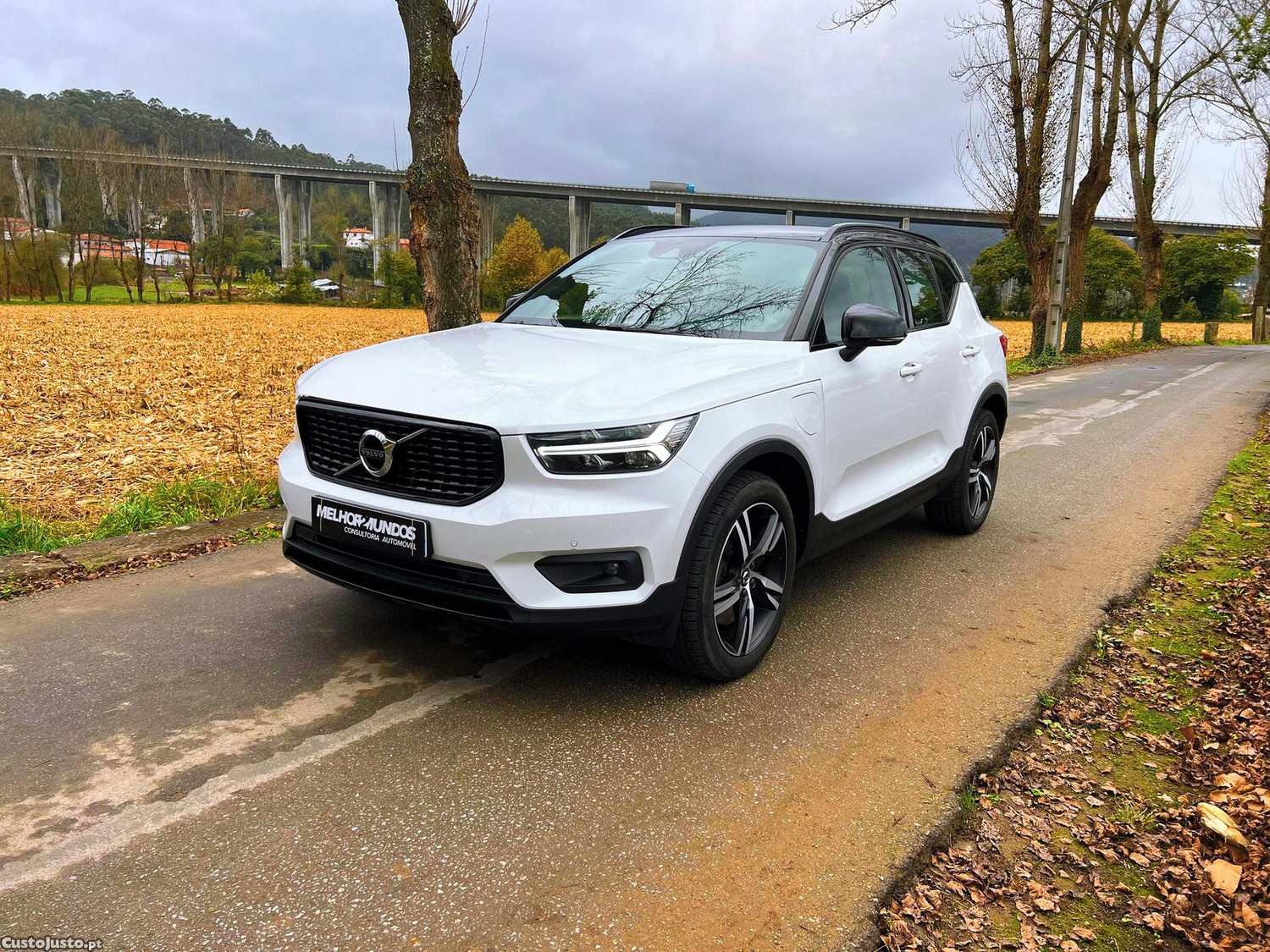 Volvo XC40 1.5 T5  PHEV R-Design - 20 foto 2