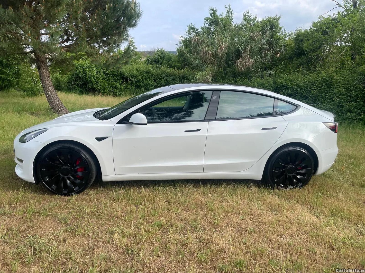 Tesla Model 3 Performance Dual Motor AWD — fotografia 15