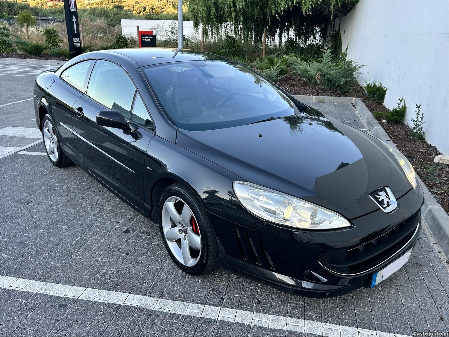 Peugeot 407 Coupe 2.7 hdi v6 — fotografia 10