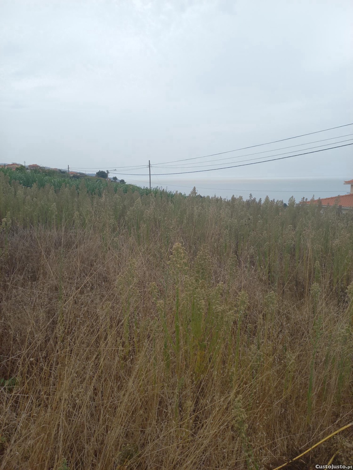 Terreno em Ponta do Sol