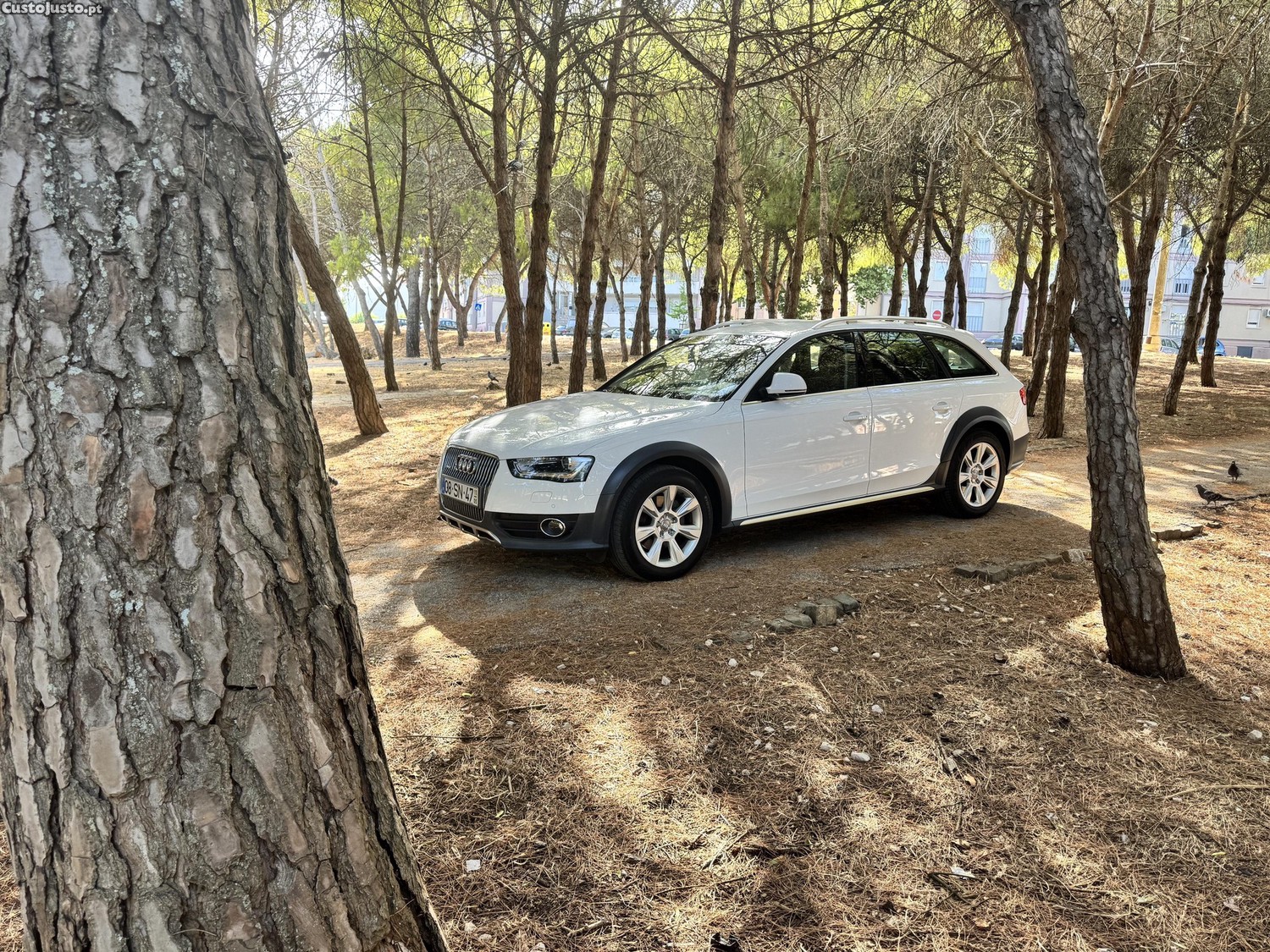 Audi A4 Allroad 3.0TDIQuattro — fotografia 7