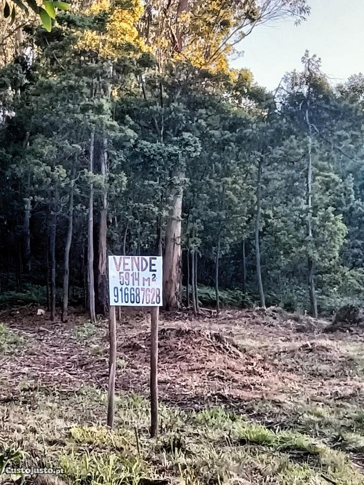 Land for sale in Oliveira de Azeméis, Portugal — €236,560