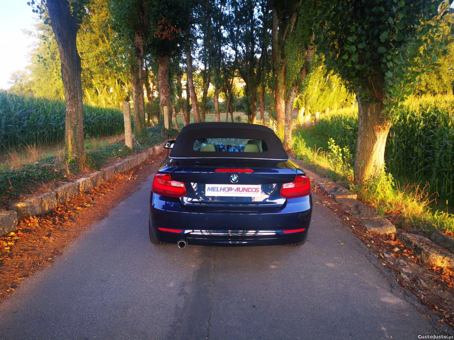 BMW 218 d Cabrio Aut. Luxury Line - 16 — photo 5
