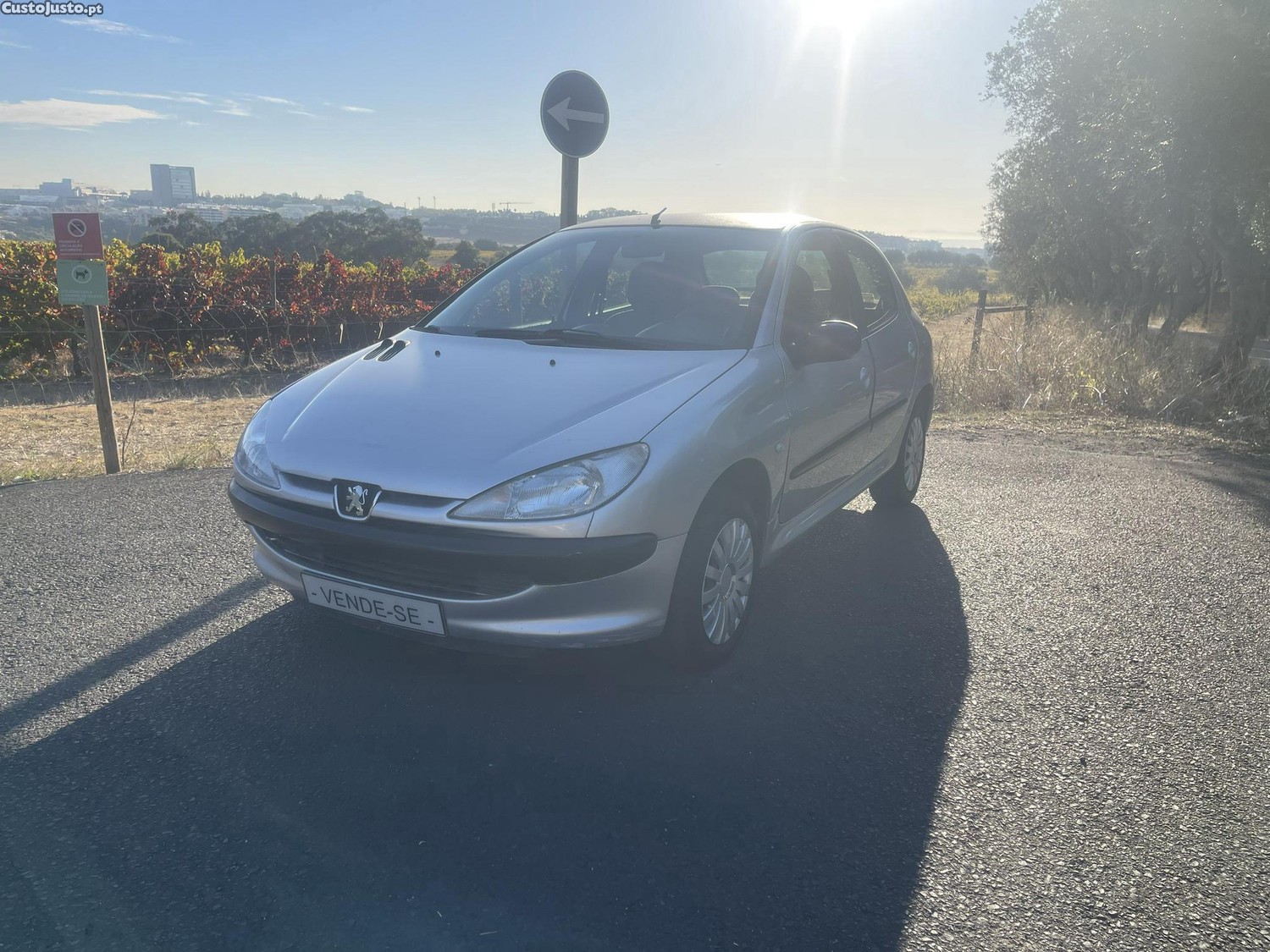 Peugeot 206 1.4 Hdi — photo 3