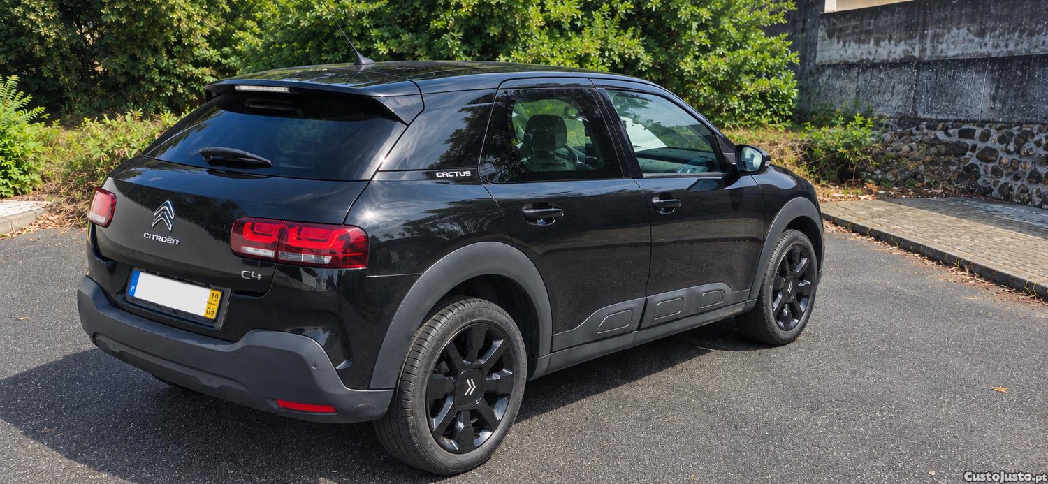 Citroën C4 Cactus 1.2 PureTech 110 Shine — fotografia 6