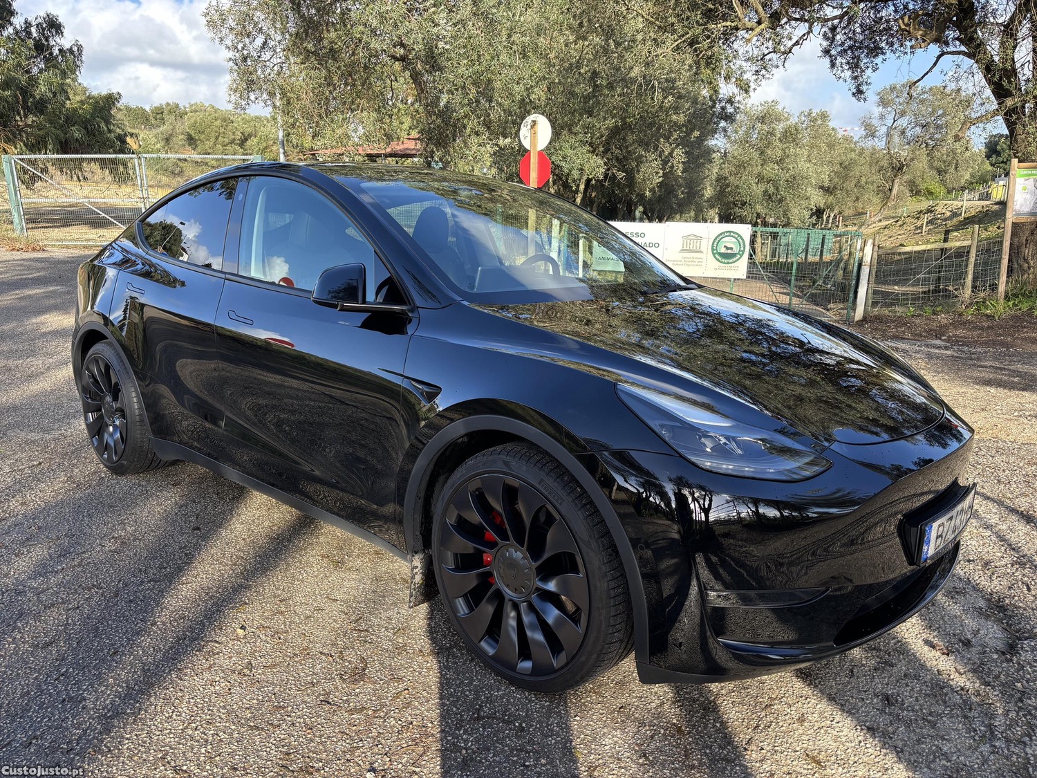 Tesla Model Y Performance — fotografia 8