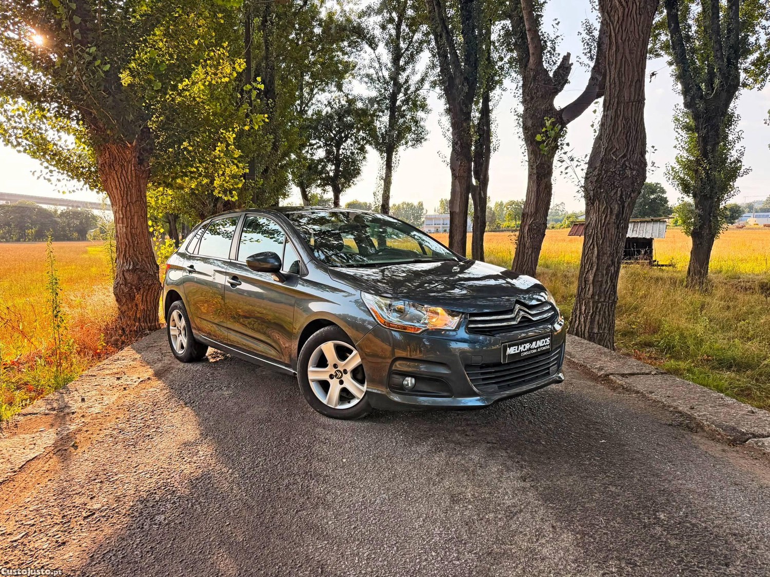 Citroën C4 1.6 HDi Attraction — fotografia 8