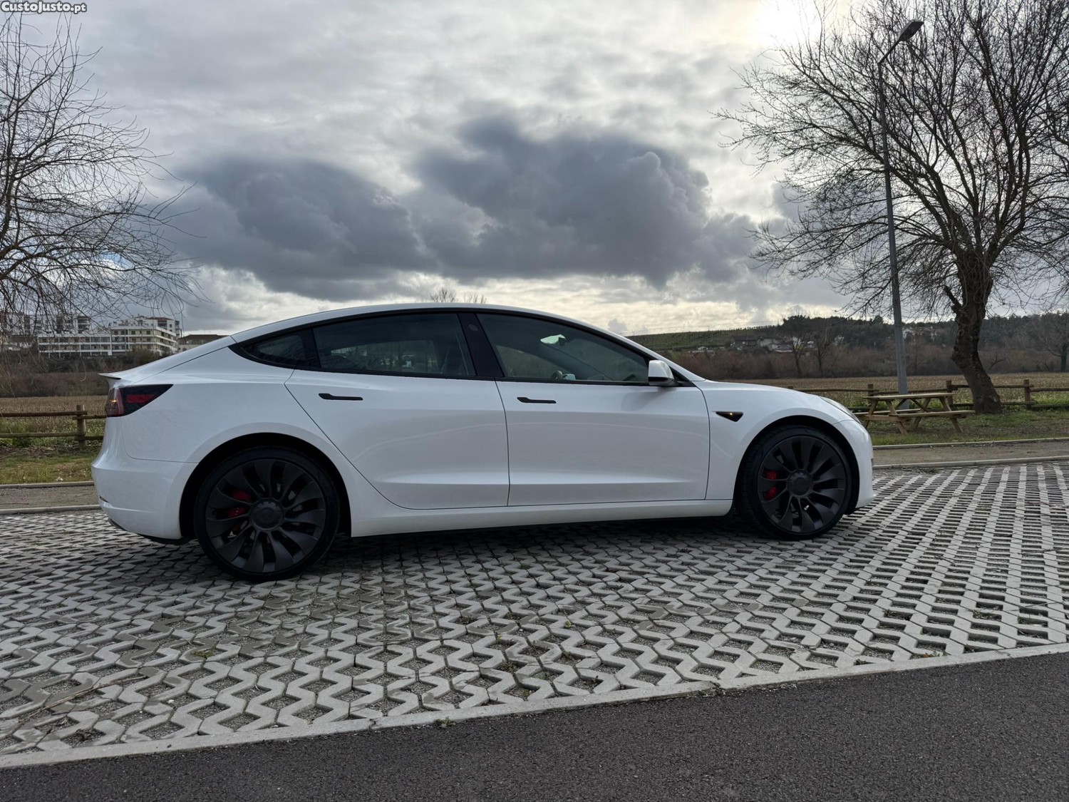 Tesla Model 3 Performance Dual Motor 534cv — fotografia 3