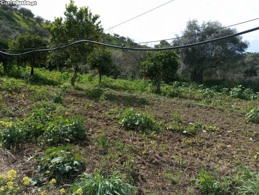 Land for sale in Alcoutim, Portugal — €85,000