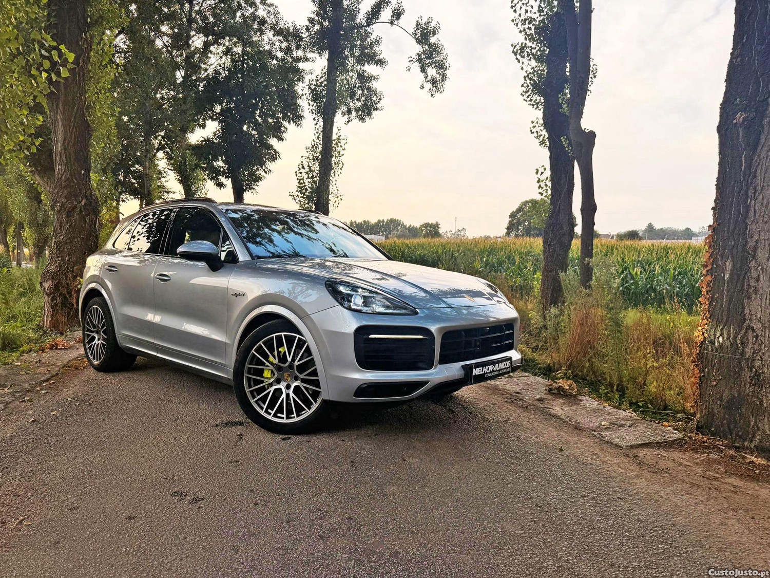 Porsche Cayenne E-Hybrid — fotografia 22