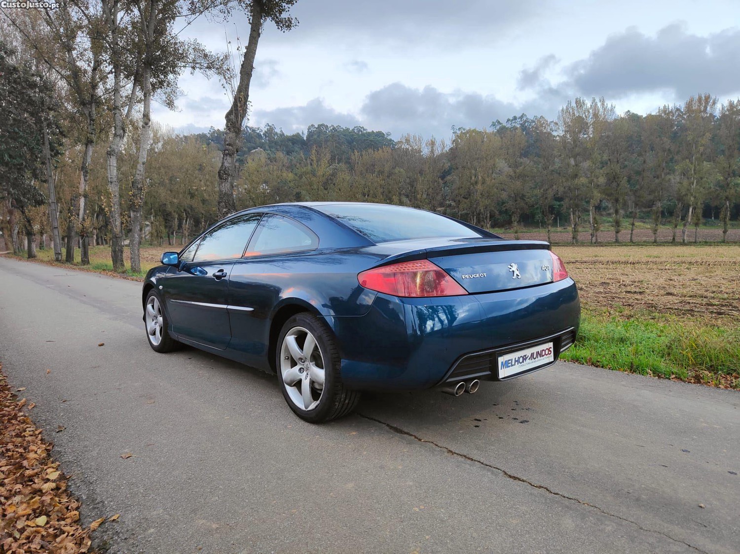 Peugeot 407 Coupé 2.7 HDi V6 AM6 — fotografia 17