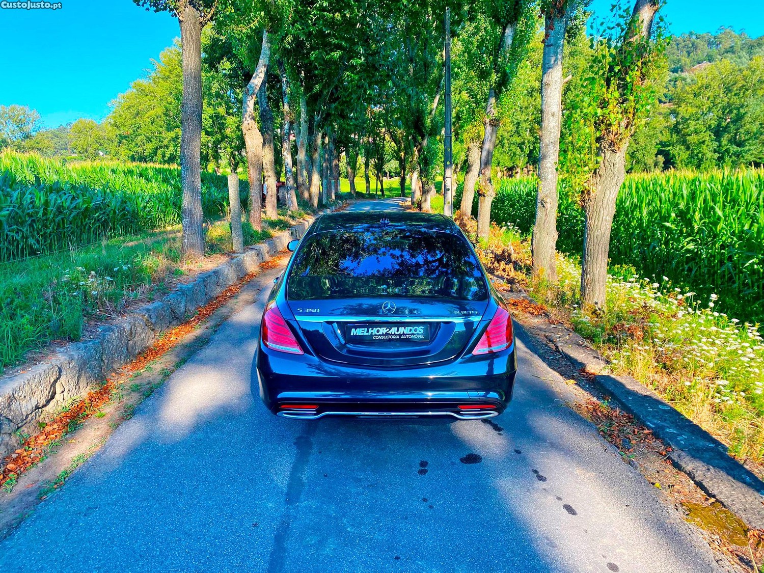 Mercedes-Benz S 350 BlueTEC - 14 — photo 5