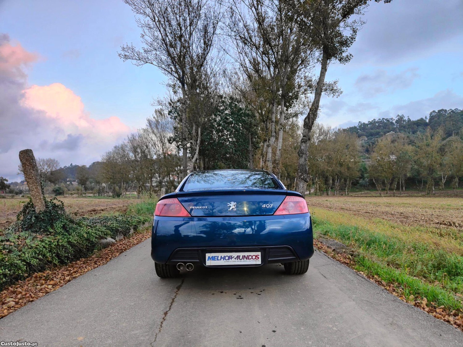Peugeot 407 Coupé 2.7 HDi V6 AM6 — fotografia 16