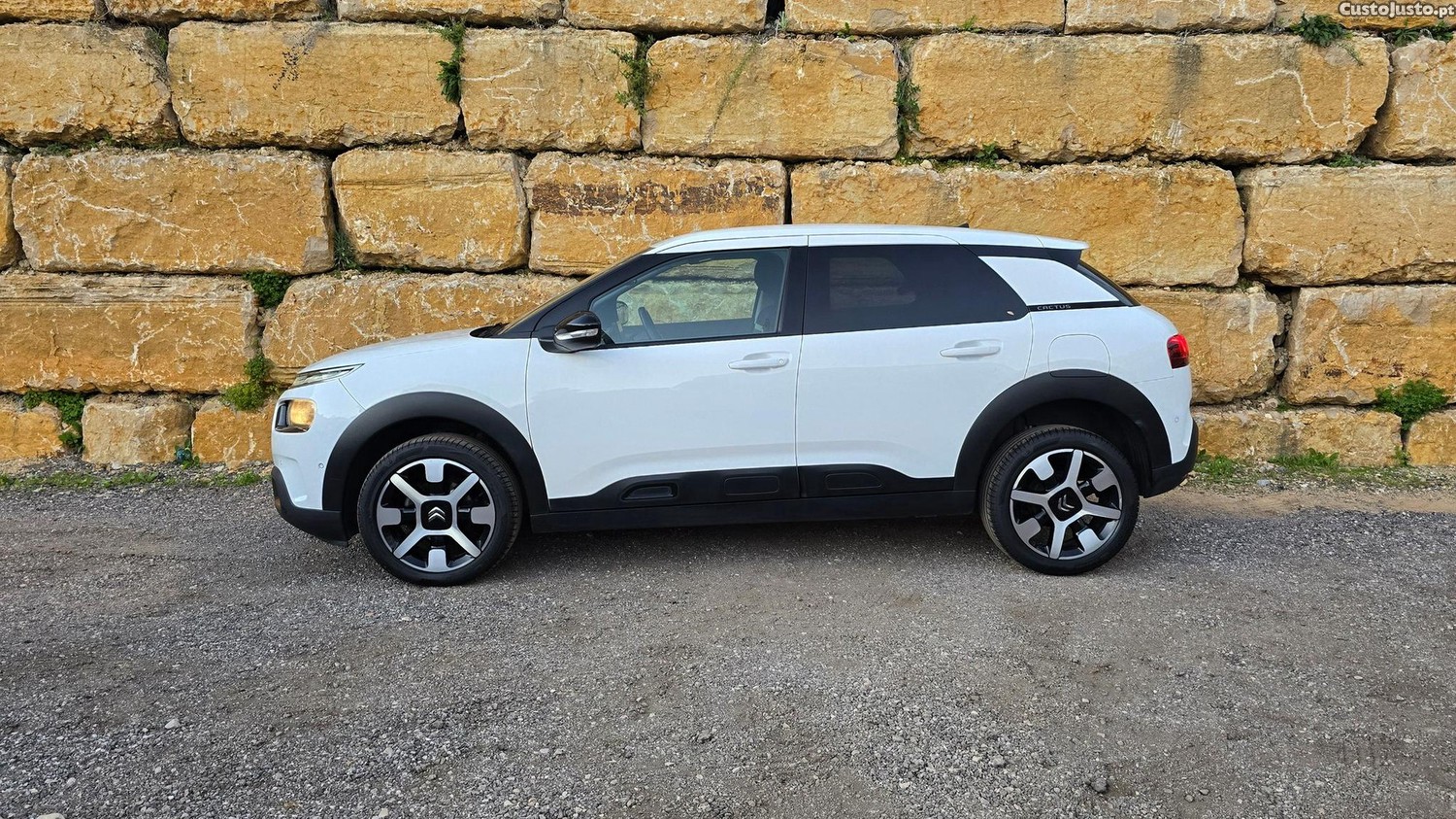 Citroën C4 Cactus 1.5 BlueHDi Shine - 19 foto 3