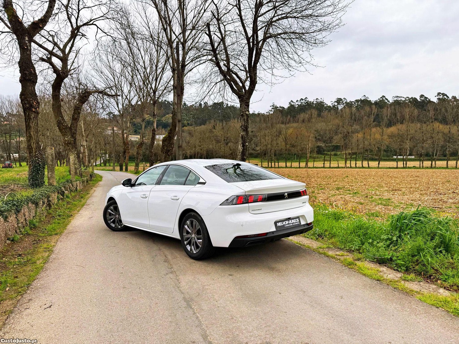 Peugeot 508 1.5 BlueHDi Active Pack EAT8 - 19 — photo 2
