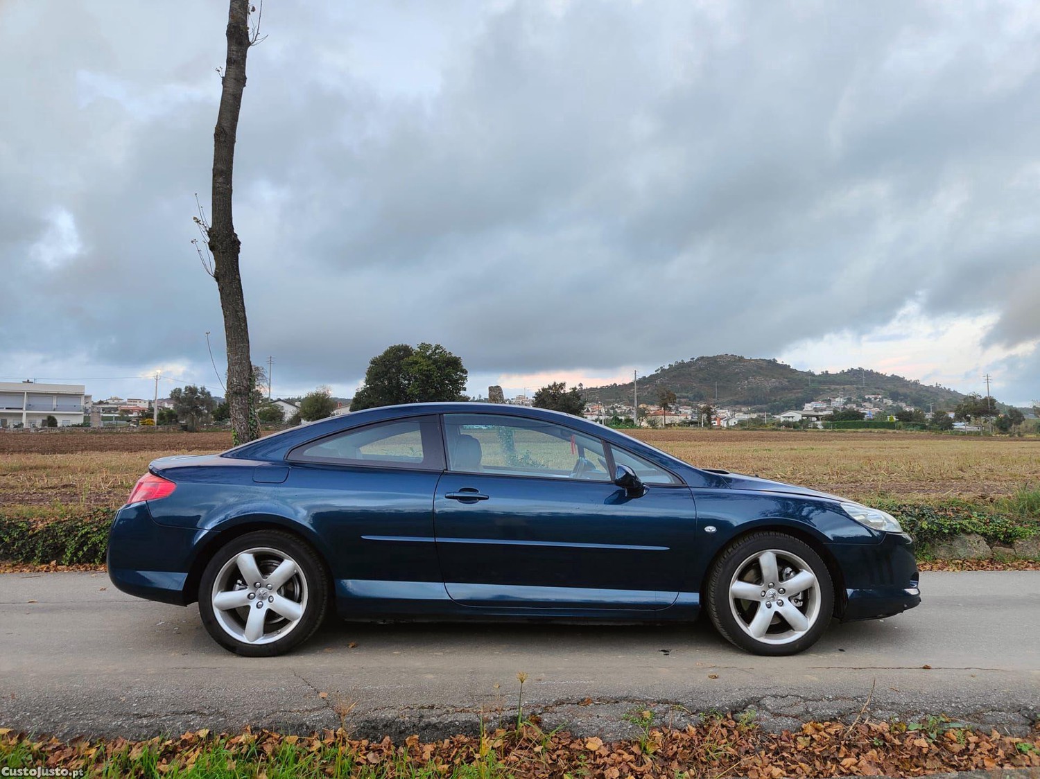 Peugeot 407 Coupé 2.7 HDi V6 AM6 — fotografia 14