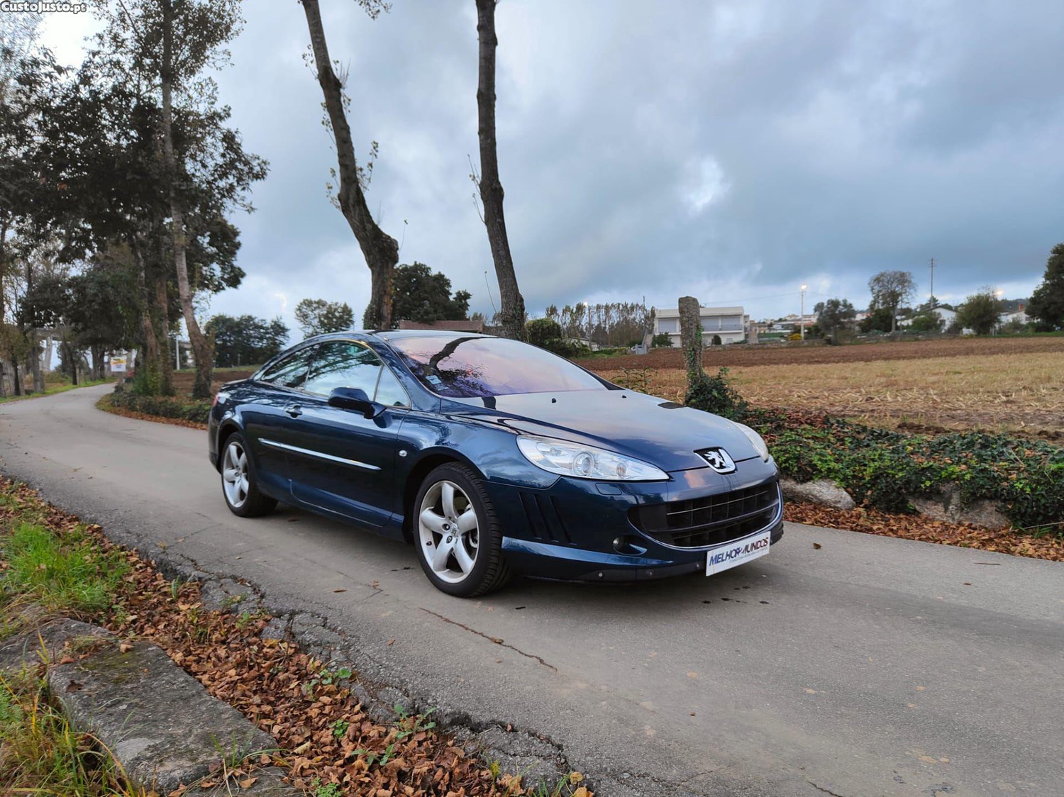 Peugeot 407 Coupé 2.7 HDi V6 AM6 — fotografia 13