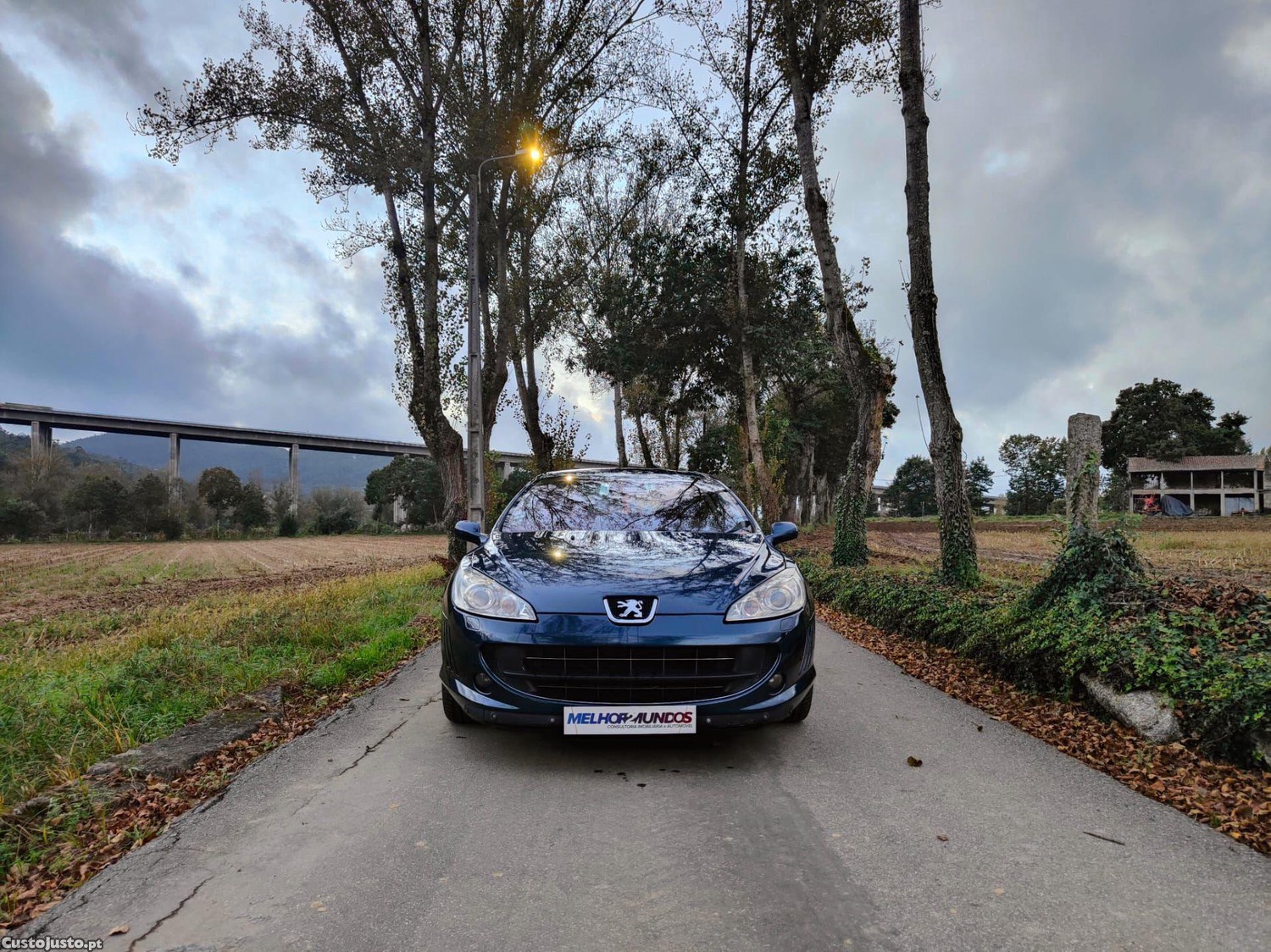 Peugeot 407 Coupé 2.7 HDi V6 AM6 — fotografia 12