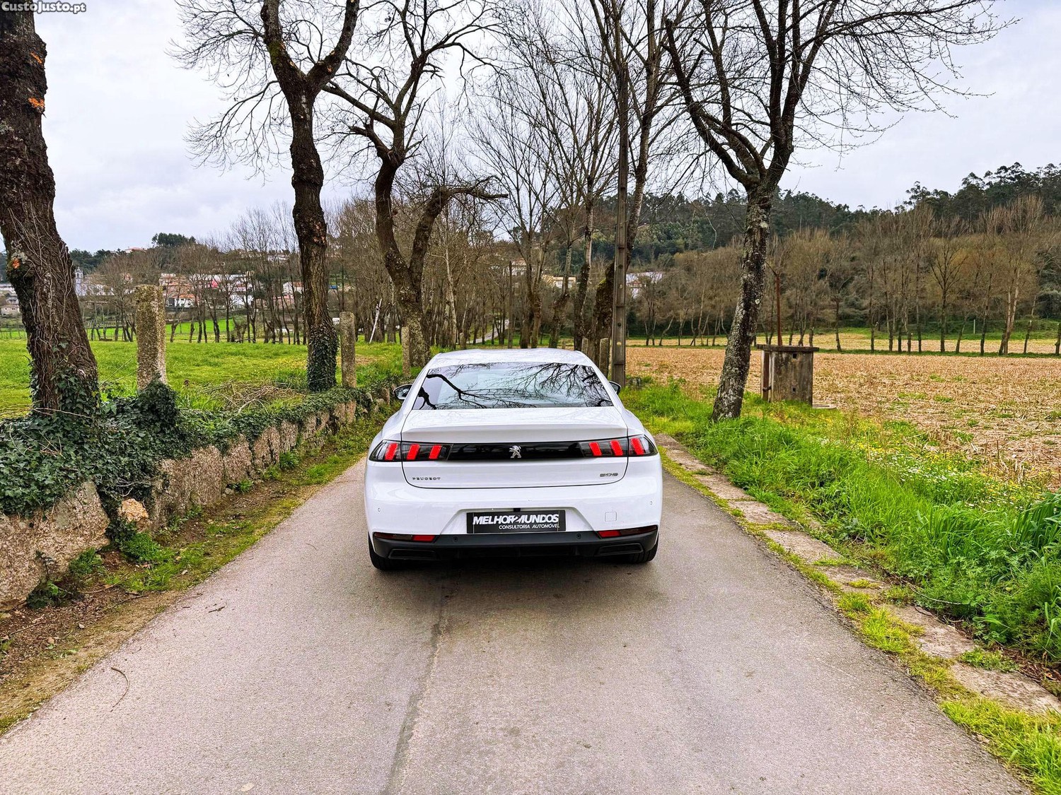 Peugeot 508 1.5 BlueHDi Active Pack EAT8 - 19 — photo 4
