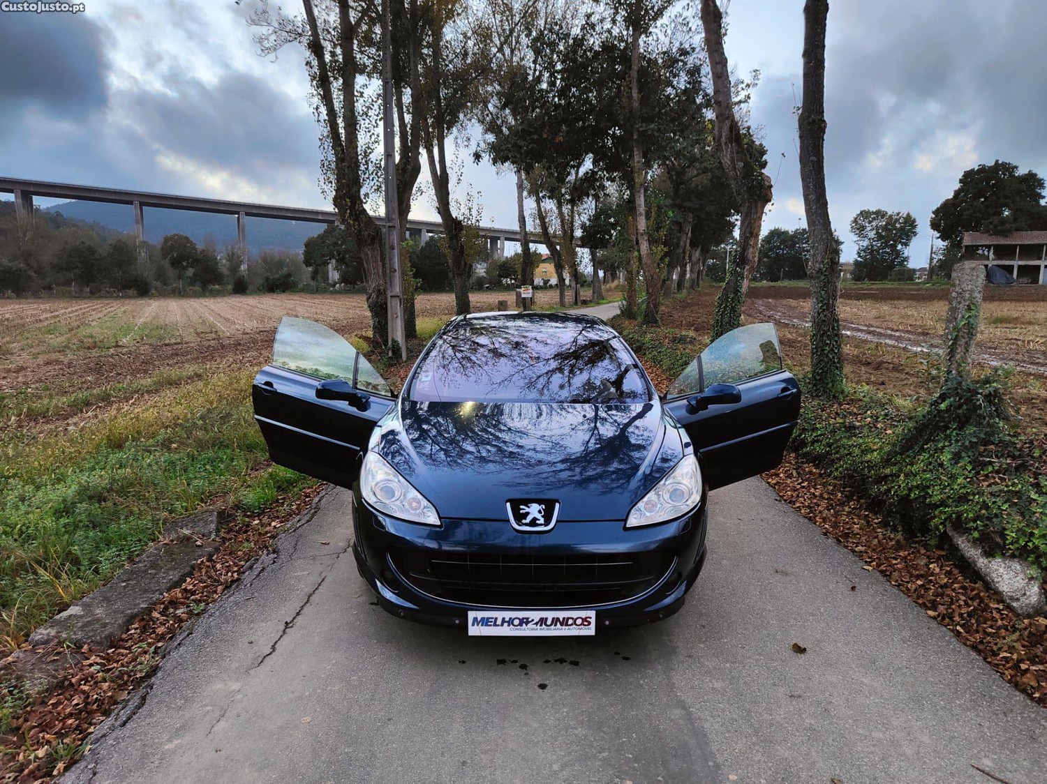 Peugeot 407 Coupé 2.7 HDi V6 AM6 — fotografia 11