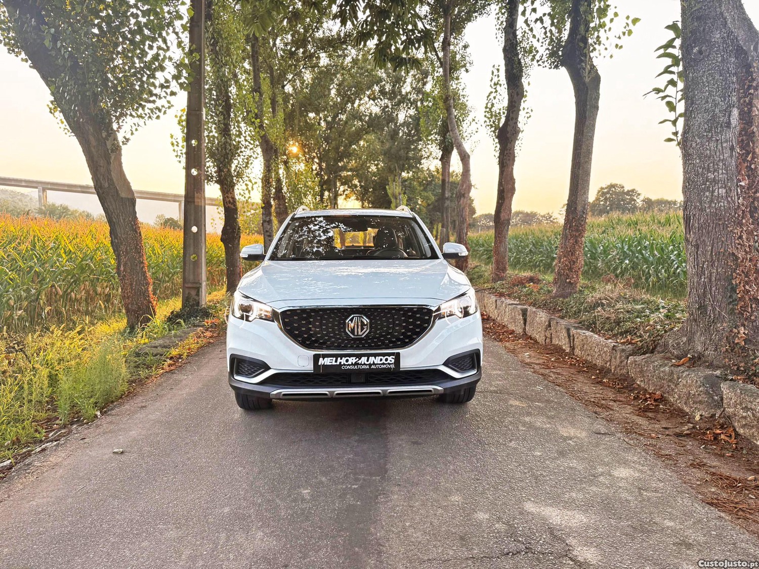 MG ZS EV Luxury — fotografia 19