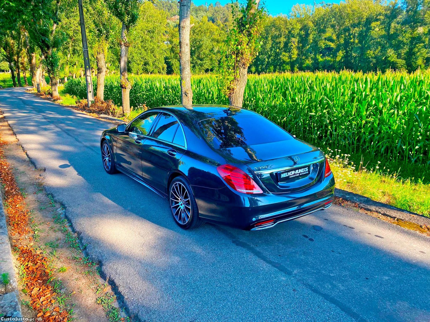 Mercedes-Benz S 350 BlueTEC - 14 — photo 4