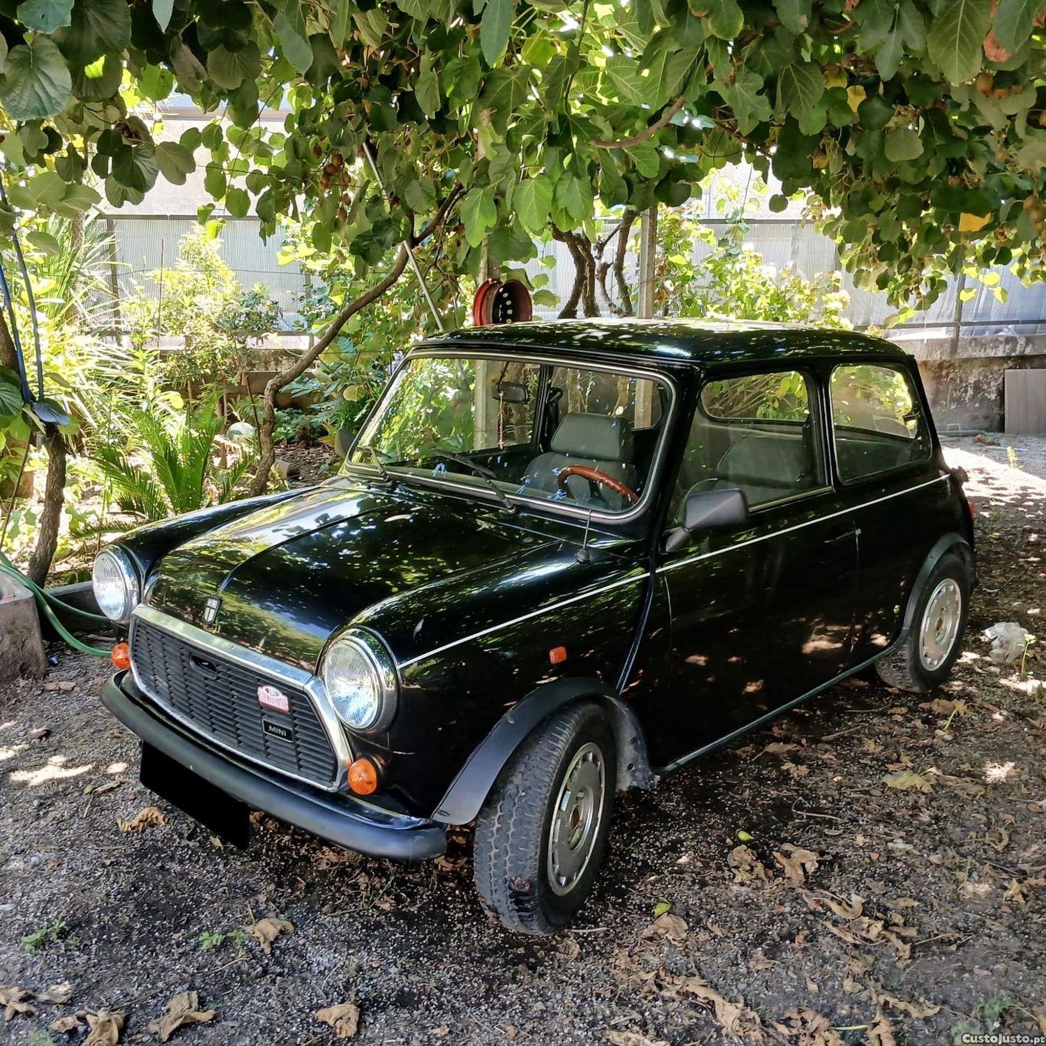 MINI 1000 HLE - 84 — photo 2