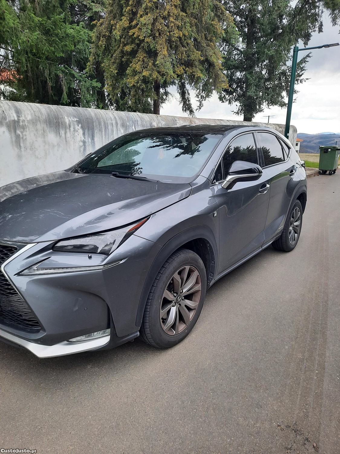 Lexus NX Sport - 15 — photo 2