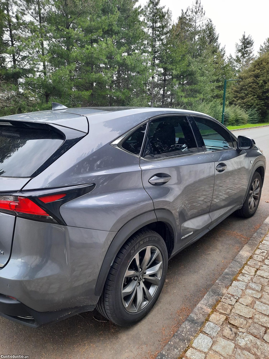 Lexus NX Sport - 15 — photo 5