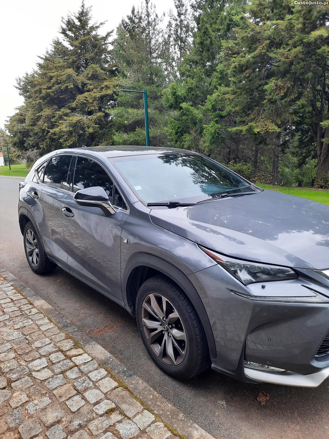 Lexus NX Sport - 15 — photo 4