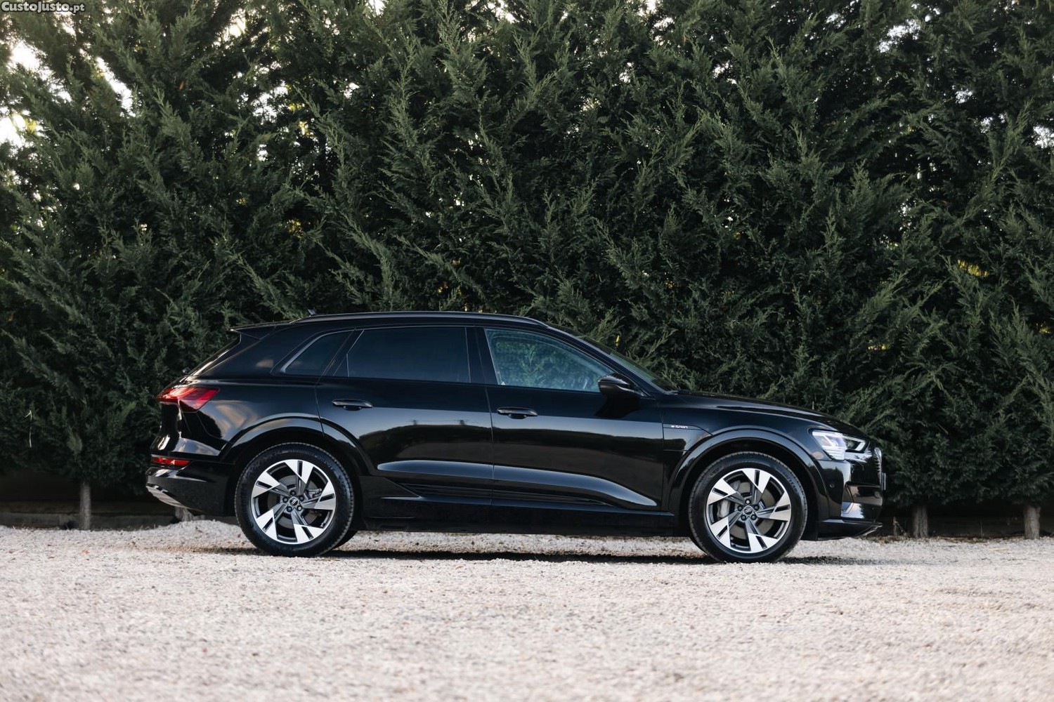 Audi e-tron 50 quattro S line — fotografia 8