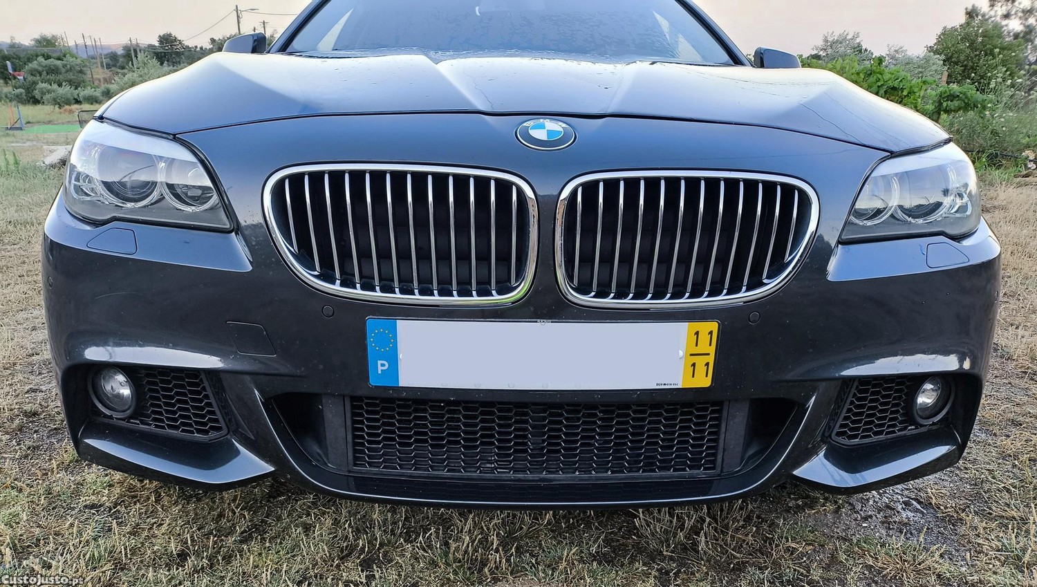 BMW 520 Touring (F11) EfficientDynamics — fotografia 7
