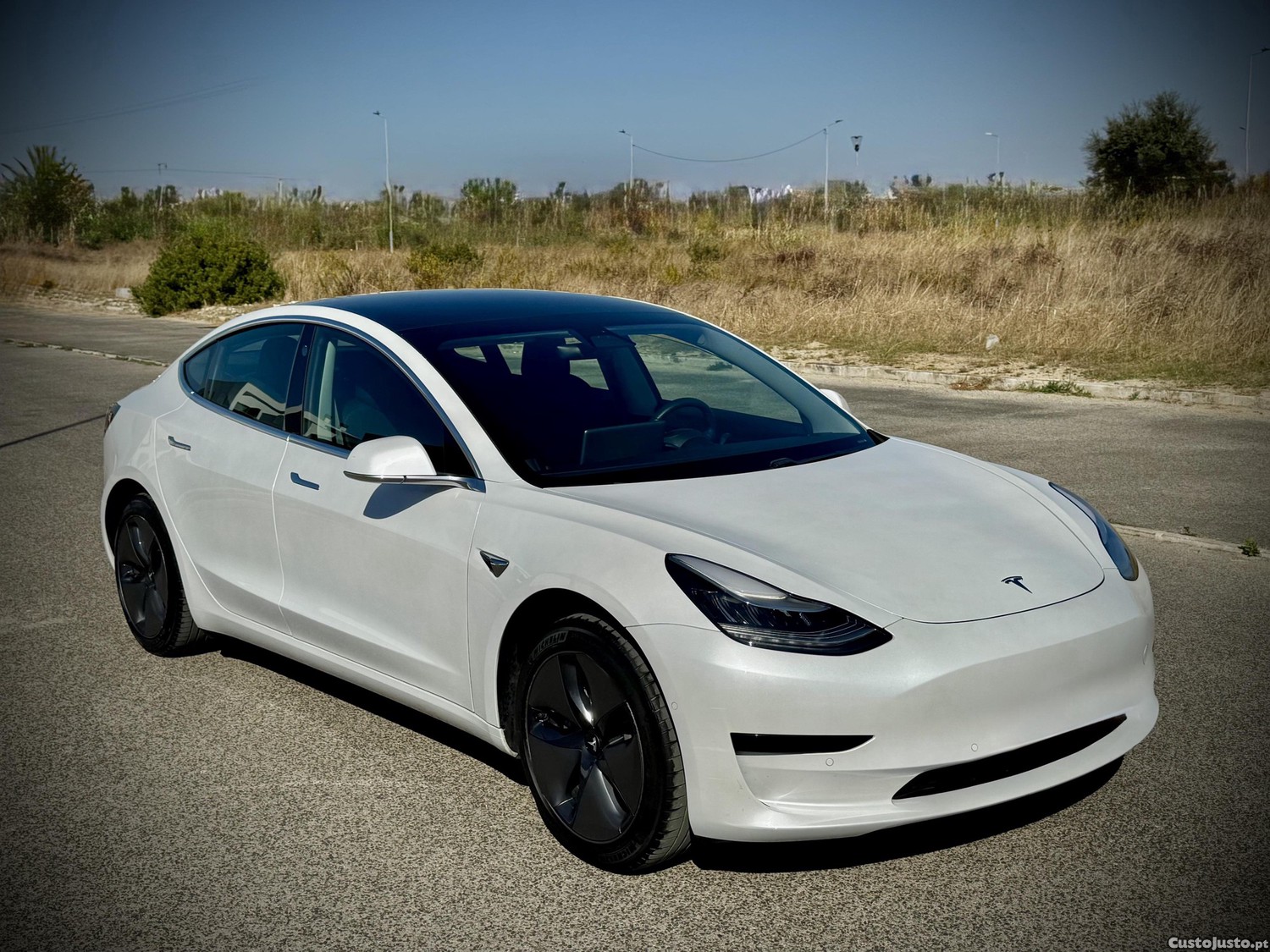 Tesla Model 3 Standard range Plus