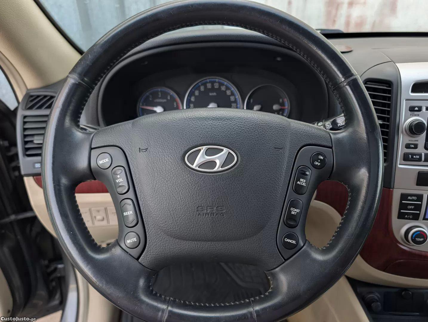 Hyundai Santa Fé 2.2 crdi 7wagon platinum — fotografia 7