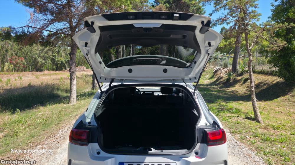 Citroën C4 Cactus 1.2 PureTech — fotografia 11