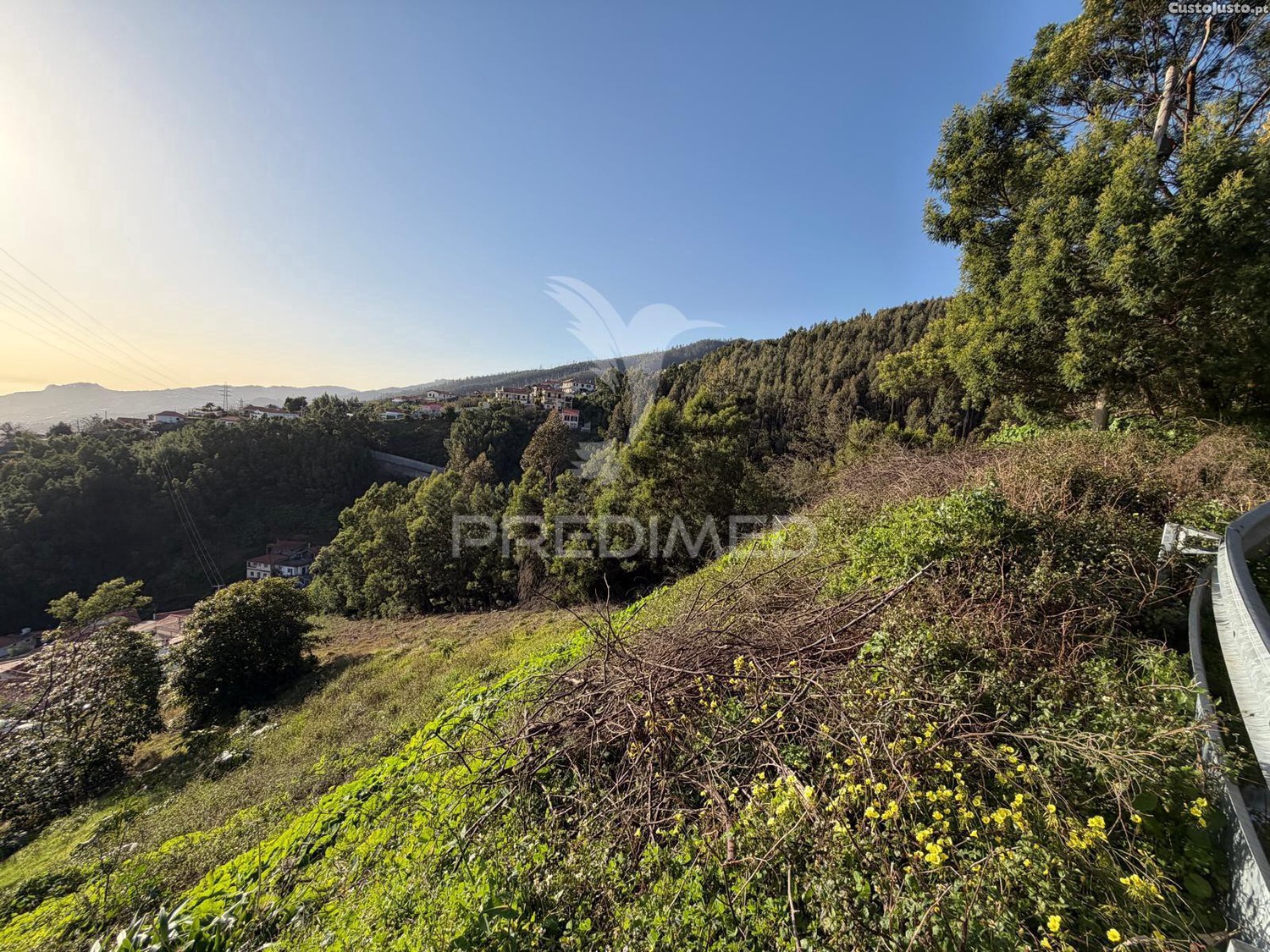 Funchal, Monte