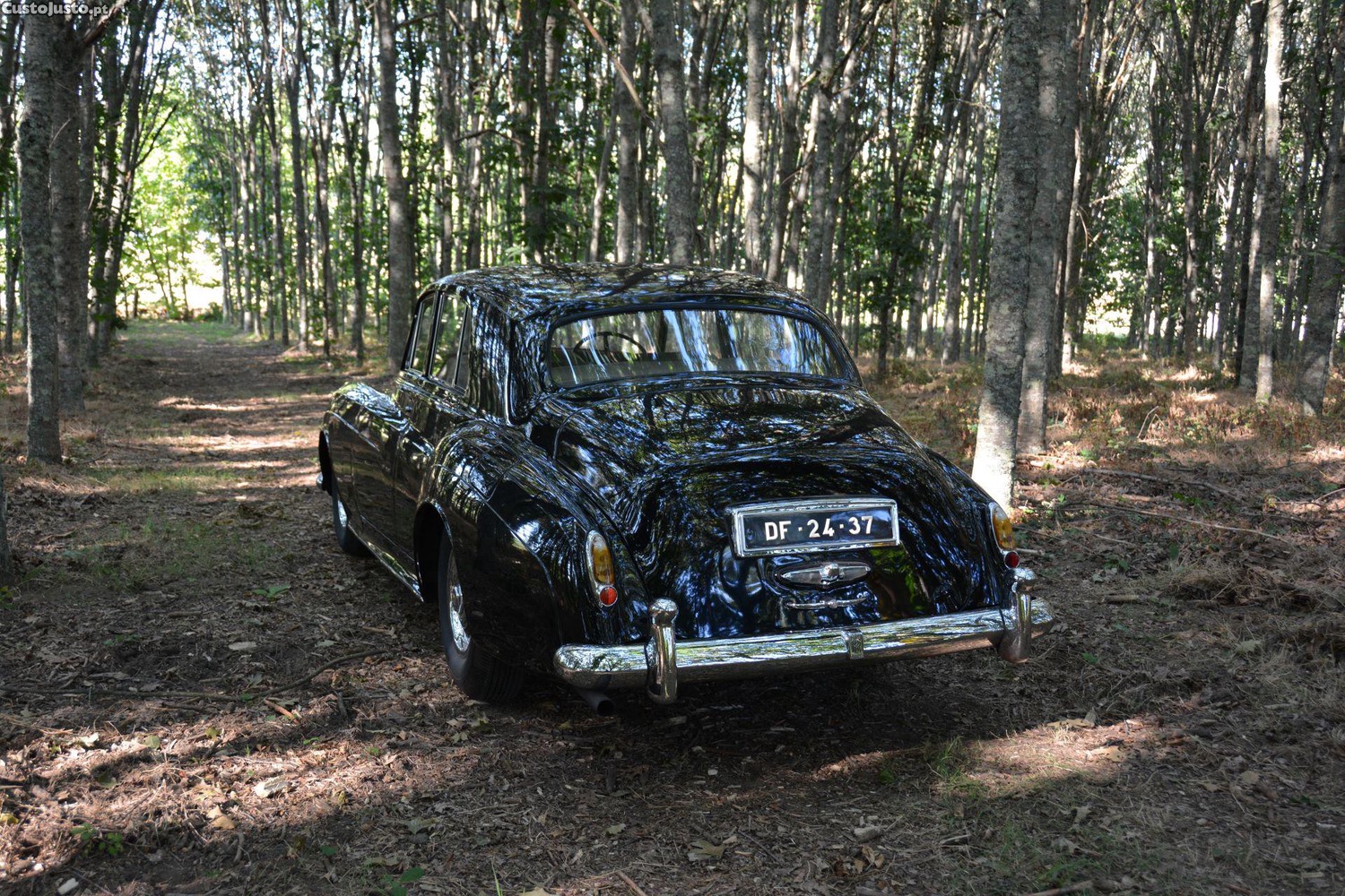 Rolls Royce  Silver Cloud I — photo 5