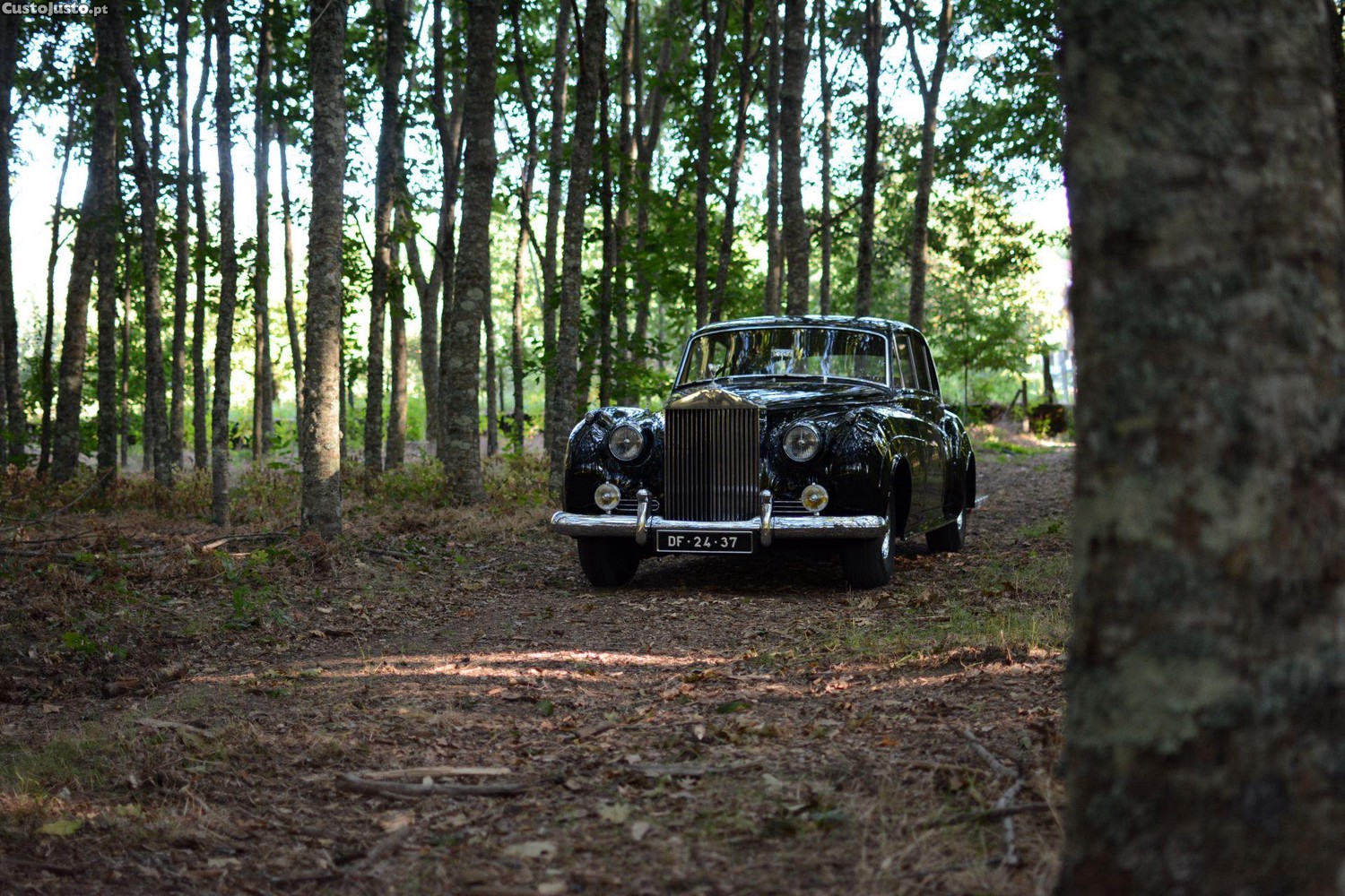 Rolls Royce  Silver Cloud I — photo 2
