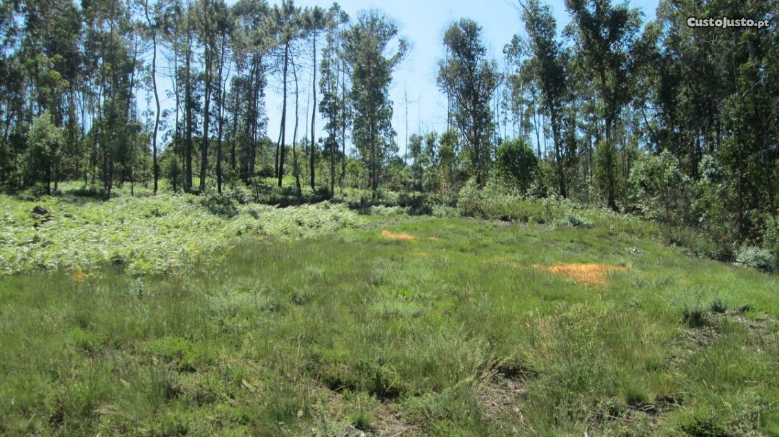 Land for sale in Santo Tirso, Portugal — €53,700