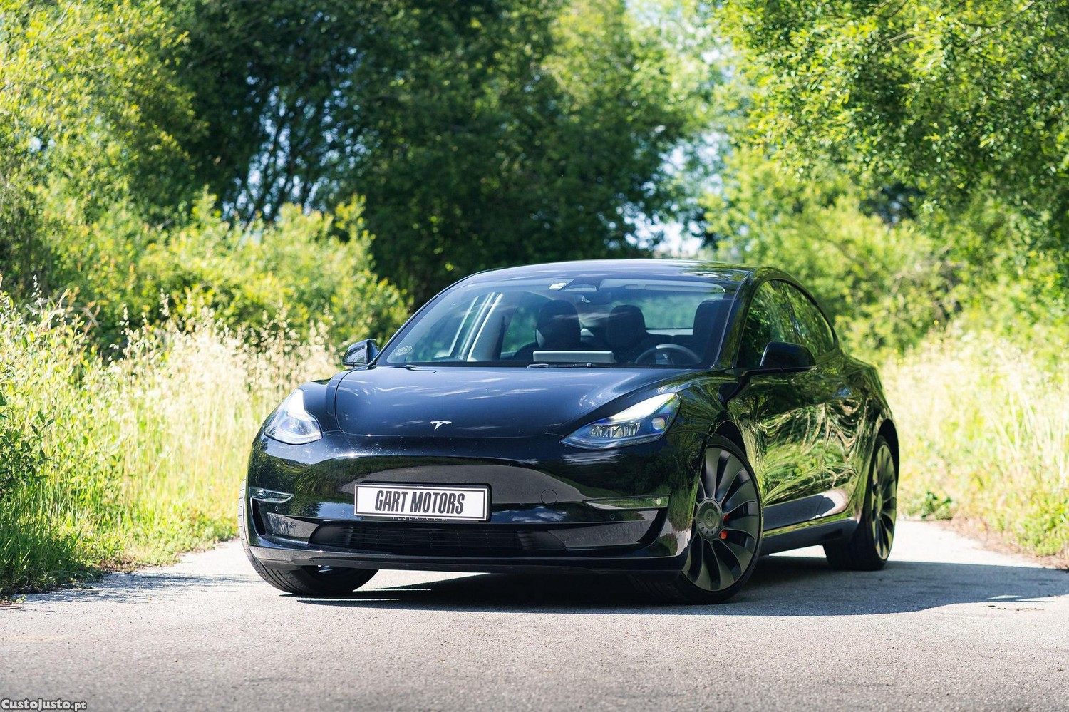 Tesla Model 3 Performance Dual Motor AWD - 22 — photo 3