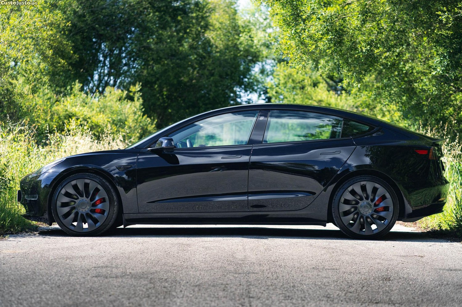 Tesla Model 3 Performance Dual Motor AWD - 22 — photo 4