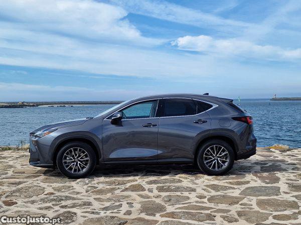 Lexus NX NX 450h+ Premium - 24 — photo 4
