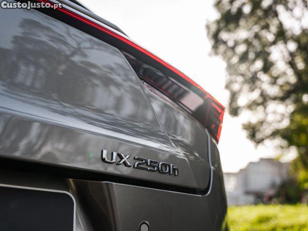 Lexus NX 250h Sport — fotografia 15