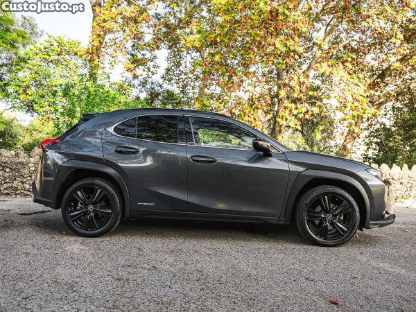 Lexus NX UX 250h Special Edi - 22 foto 4