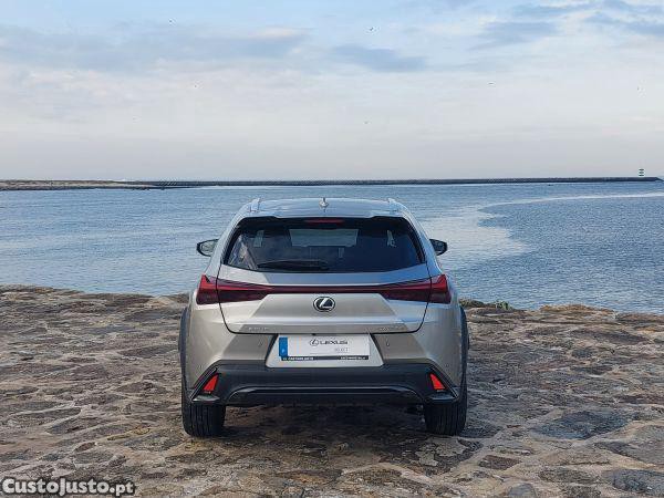 Lexus NX UX 250h Sport - 23 — photo 5