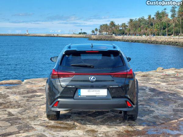 Lexus NX UX 250h Special Edi - 21 foto 5